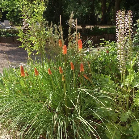 Du Chateau De Begue * Cazaubon