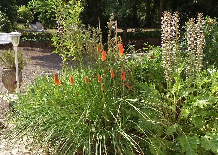 贝格城堡公寓 * Cazaubon